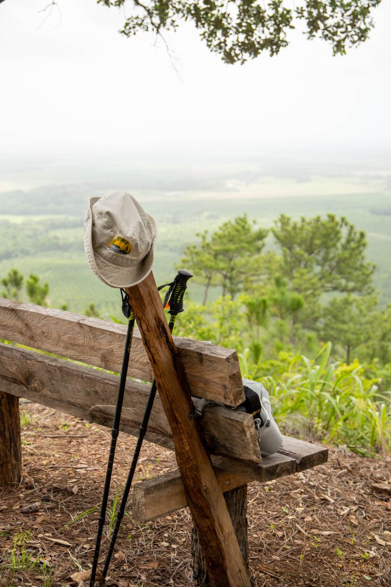 July 29 Pic 9 768x1152